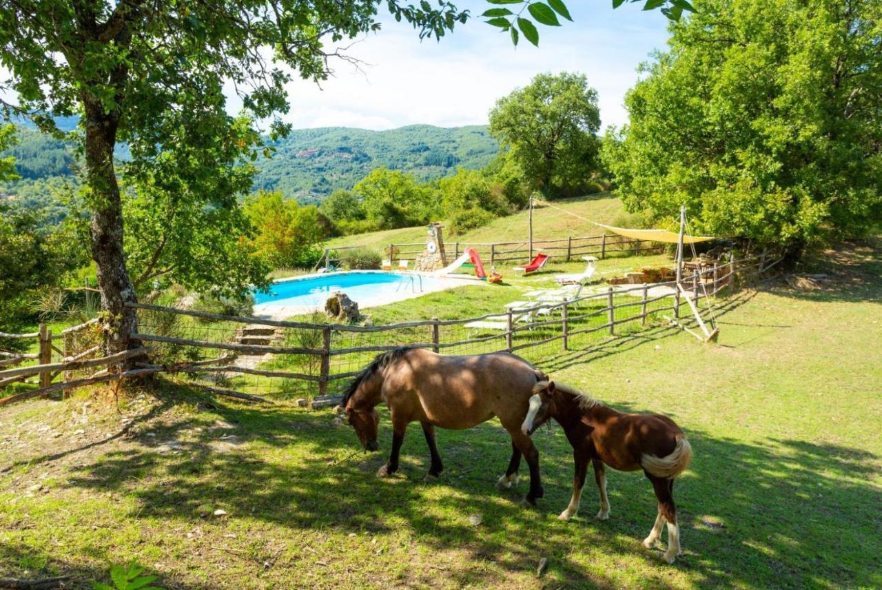 Villa Bellavista Arezzo Bagian luar foto