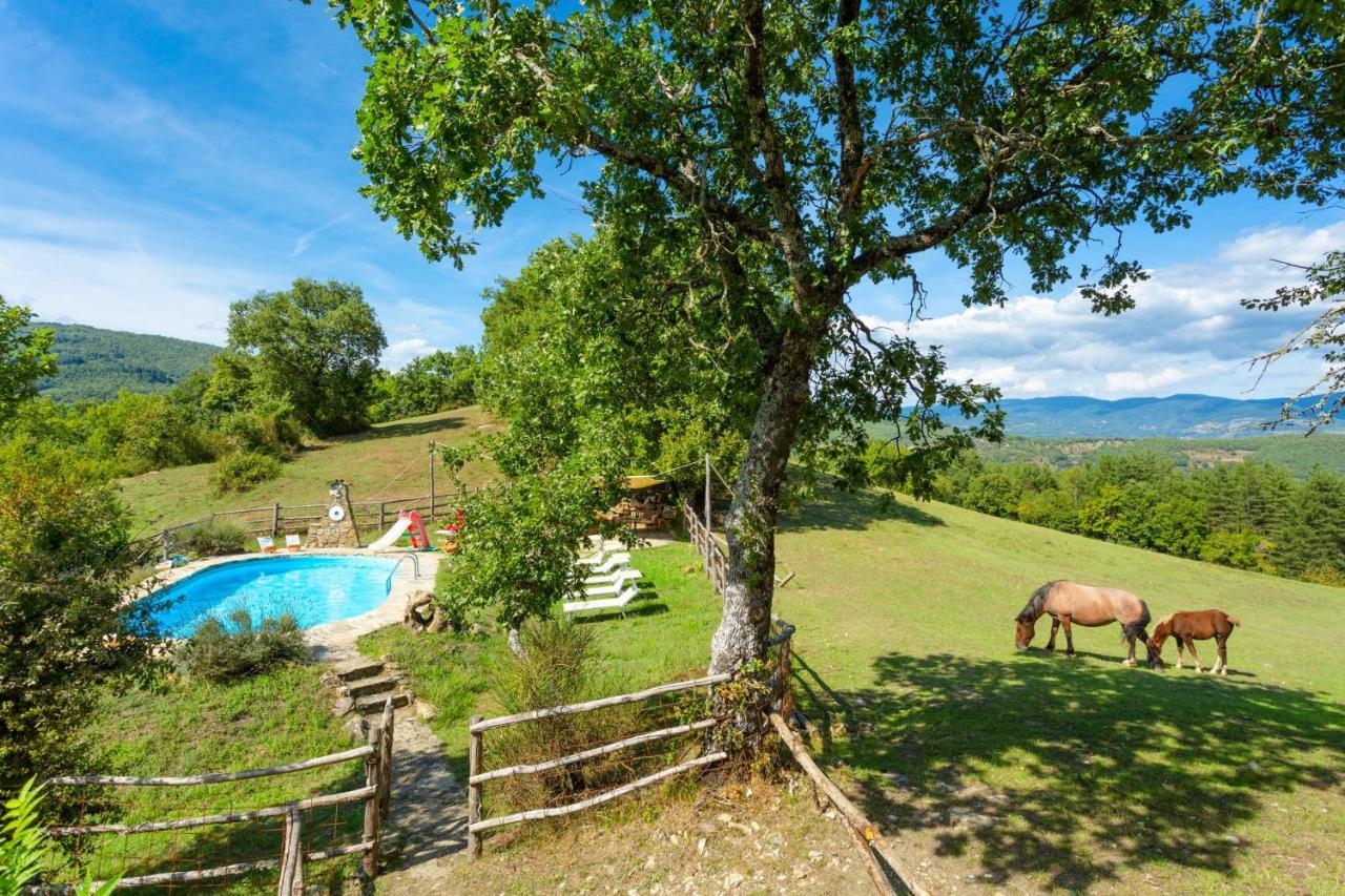 Villa Bellavista Arezzo Bagian luar foto